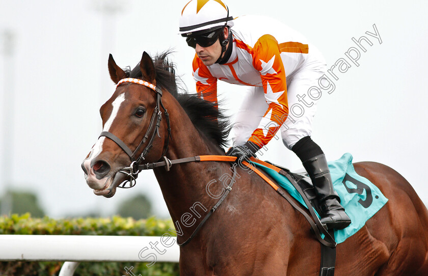 Tipperary-Jack-0006 
 TIPPERARY JACK (Kieren Fox) wins The 32Red On The App Store Novice Stakes Div1
Kempton 5 Jun 2019 - Pic Steven Cargill / Racingfotos.com