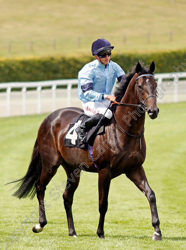 Sea-Eagle-0001 
 SEA EAGLE (Tom Marquand)
Goodwood 27 Aug 2022 - Pic Steven Cargill / Racingfotos.com