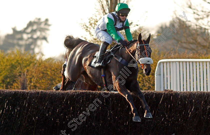 Arthur s-Sixpence-0002 
 ARTHUR'S SIXPENCE (David Bass)
Market Rasen 19 Apr 2021 - Pic Steven Cargill / Racingfotos.com