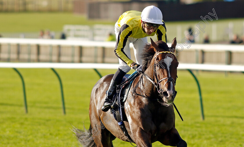 Burdett-Road-0003 
 BURDETT ROAD (Harry Davies) wins The Al Basti Equiworld Dubai Godolphin Stakes
Newmarket 27 Sep 2024 - Pic Steven Cargill / Racingfotos.com