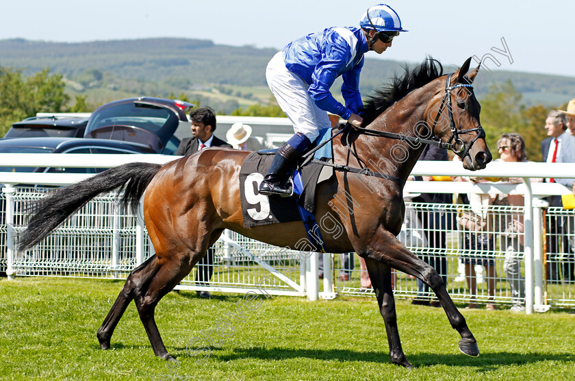 Tarjamah-0002 
 TARJAMAH (Jim Crowley)
Goodwood 26 May 2023 - Pic Steven Cargill / Racingfotos.com