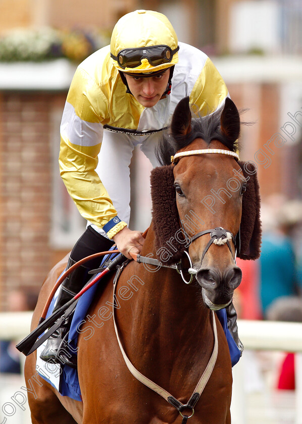 Quiet-Endeavour-0001 
 QUIET ENDEAVOUR (Pierre Louis Jamin)
York 15 Jun 2019 - Pic Steven Cargill / Racingfotos.com