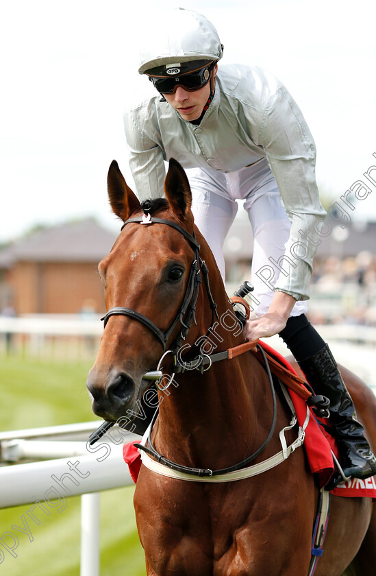 Mildenberger-0002 
 MILDENBERGER (James Doyle)
York 17 May 2018 - Pic Steven Cargill / Racingfotos.com