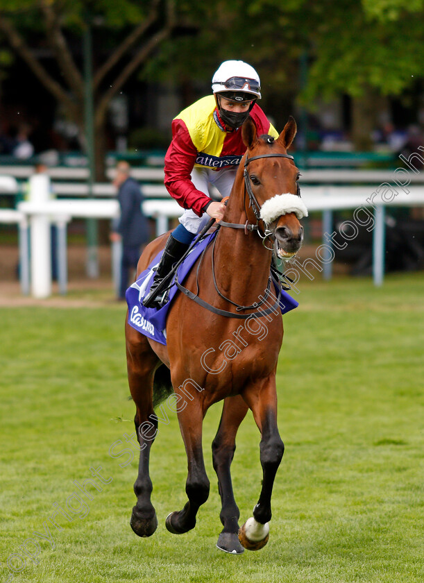 Heights-Of-Abraham-0001 
 HEIGHTS OF ABRAHAM (Shane Gray)
Haydock 22 May 2021 - Pic Steven Cargill / Racingfotos.com