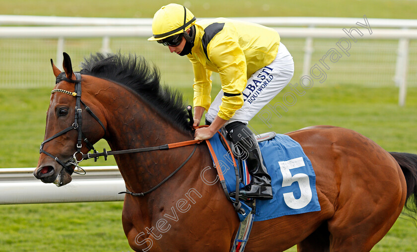 Nahaarr-0002 
 NAHAARR (Tom Marquand)
York 12 May 2021 - Pic Steven Cargill / Racingfotos.com