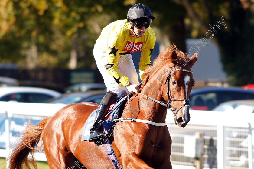 Aweedram-0002 
 AWEEDRAM (Martin Harley)
Salisbury 3 Oct 2018 - Pic Steven Cargill / Racingfotos.com