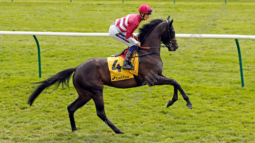 Kick-On-Girl 
 KICK ON GIRL (Daniel Muscutt)
Newmarket 1 May 2022 - Pic Steven Cargill / Racingfotos.com