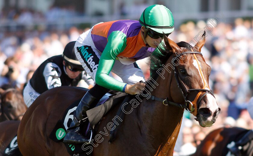 Don-Armado-0005 
 DON ARMADO (Harry Bentley) wins The Unibet Nursery
Goodwood 3 Aug 2018 - Pic Steven Cargill / Racingfotos.com