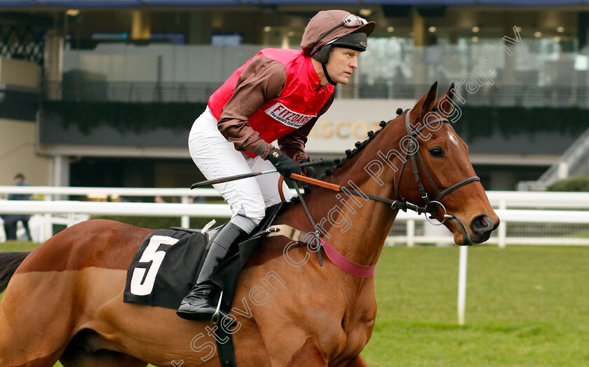 In-d Or-0007 
 IN D'OR (David Maxwell) wins The Betmgm Handicap Chase
Ascot 18 Jan 2025 - Pic Steven Cargill / Racingfotos.com