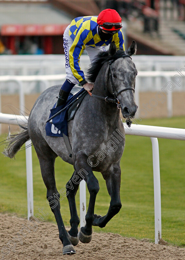 Kath s-Toyboy-0002 
 KATH'S TOYBOY (David Probert)
Wolverhampton 12 Mar 2021 - Pic Steven Cargill / Racingfotos.com