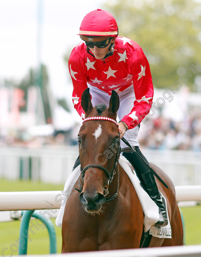 Woodchuck-0001 
 WOODCHUCK (S Planque)
Deauville 13 Aug 2023 - Pic Steven Cargill / Racingfotos.com