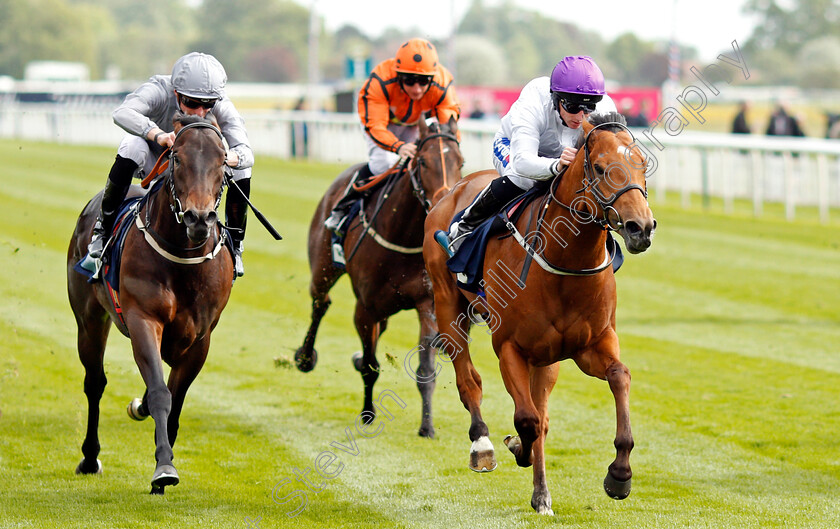 Charming-Kid-0003 
 CHARMING KID (right, Paul Hanagan) beats WORLD ORDER (left) in The British Stallion Studs EBF Novice Stakes York 16 May 2018 - Pic Steven Cargill / Racingfotos.com