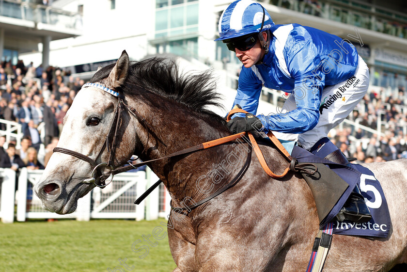 Multamis-0003 
 MULTAMIS (Jim Crowley) wins The Investec Private Banking Handicap
Epsom 24 Apr 2019 - Pic Steven Cargill / Racingfotos.com