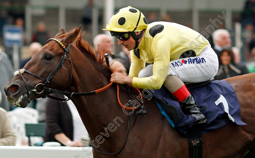 Zabeel-Prince-0005 
 ZABEEL PRINCE (Andrea Atzeni) wins The Sea-Deer Handicap Yarmouth 20 Sep 2017 - Pic Steven Cargill / Racingfotos.com