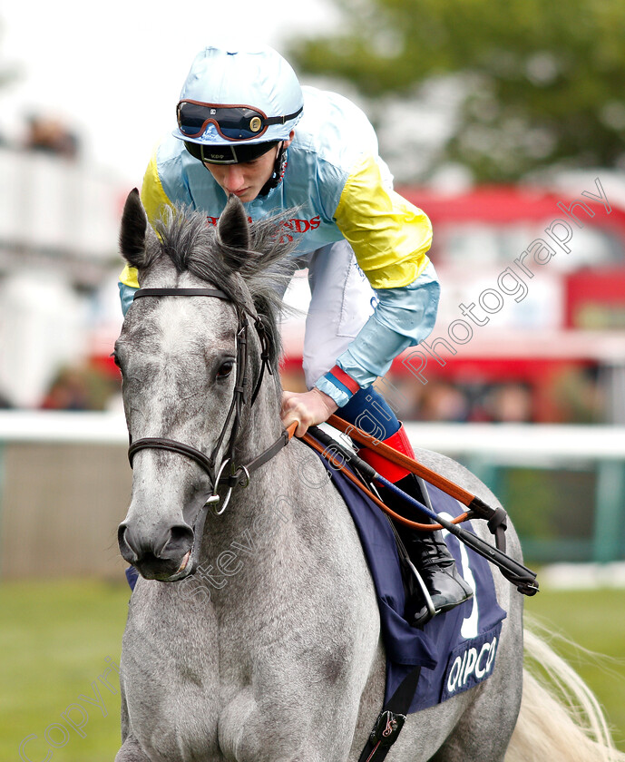 Rasima-0001 
 RASIMA (David Egan)
Newmarket 5 May 2019 - Pic Steven Cargill / Racingfotos.com