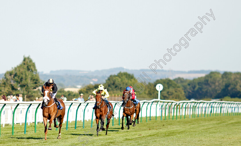 Whimsy-0002 
 WHIMSY (Jason Watson) wins The Kevin Hall & Pat Boakes Memorial Handicap
Salisbury 11 Aug 2022 - Pic Steven Cargill / Racingfotos.com