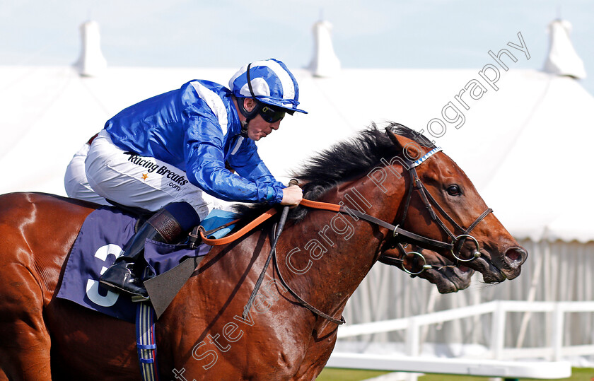 Mutaaqeb-0005 
 MUTAAQEB (Jim Crowley) wins The British Stallion Studs EBF Novice Stakes Yarmouth 19 Sep 2017 - Pic Steven Cargill / Racingfotos.com