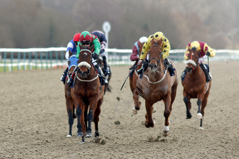 Shyron-0003 
 SHYRON (Robert Winston) wins The Sun Racing Handicap
Lingfield 18 Jan 2019 - Pic Steven Cargill / Racingfotos.com