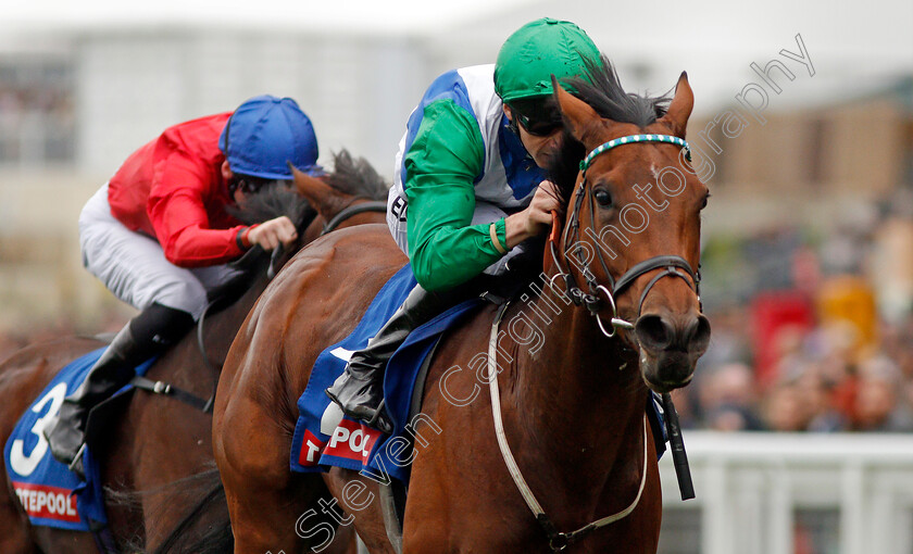 One-Master-0006 
 ONE MASTER (Martin Harley) wins The Totepool British EBF October Stakes Ascot 7 Oct 2017 - Pic Steven Cargill / Racingfotos.com