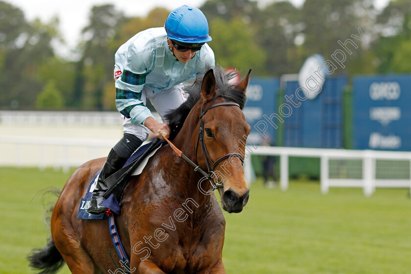 Quickthorn-0002 
 QUICKTHORN (Tom Marquand)
Ascot 27 Apr 2022 - Pic Steven Cargill / Racingfotos.com