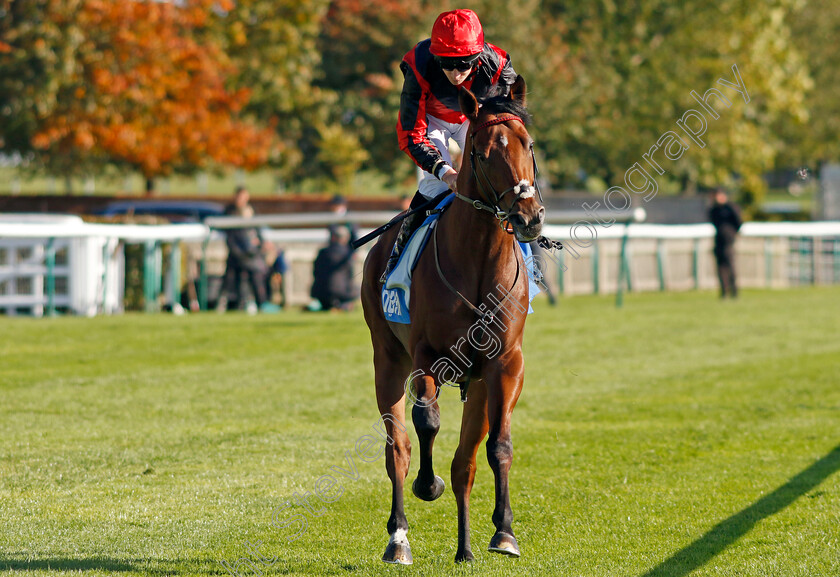 Zayer-0001 
 ZAYER (Luke Morris)
Newmarket 11 Oct 2024 - Pic Steven Cargill / Racingfotos.com