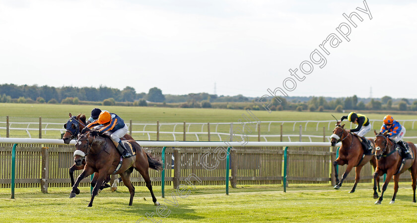 Nate-The-Great-0004 
 NATE THE GREAT (William Buick) wins The Jockey Club Rose Bowl Stakes
Newmarket 22 Sep 2022 - Pic Steven Cargill / Racingfotos.com