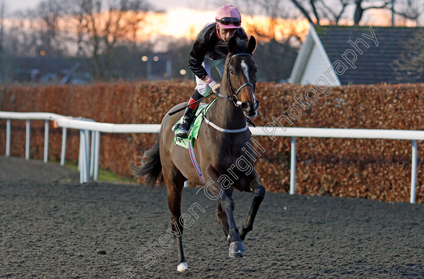 Windy-Cove-0001 
 WINDY COVE (Shane Kelly)
Kempton 29 Jan 2020 - Pic Steven Cargill / Racingfotos.com