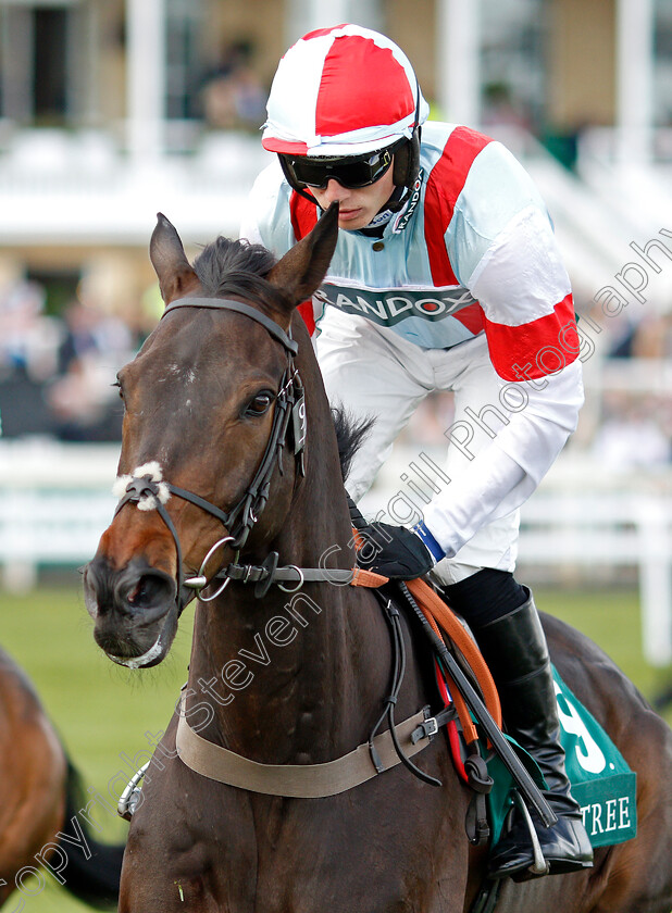 Saint-Calvados 
 SAINT CALVADOS (Harry Cobden)
Aintree 8 Apr 2022 - Pic Steven Cargill / Racingfotos.com