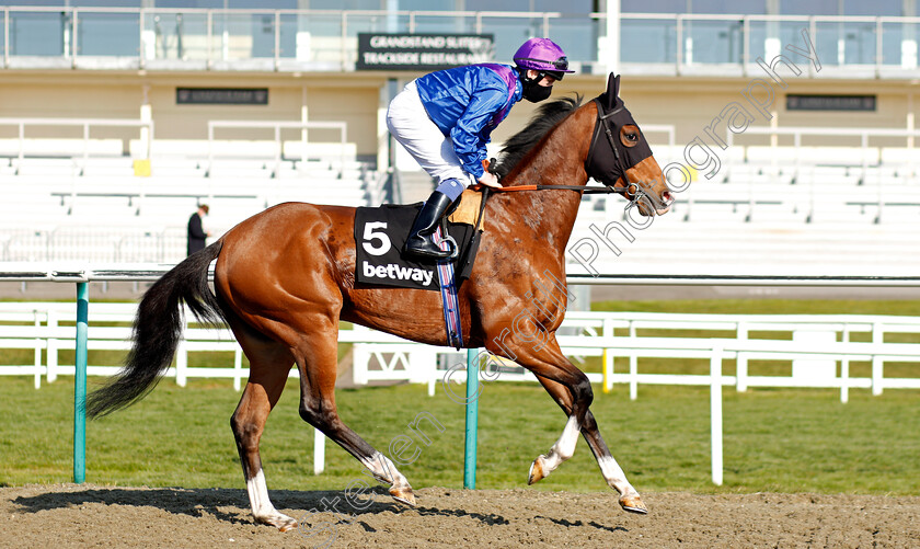 Palavecino-0001 
 PALAVECINO (Martin Dwyer)
Lingfield 2 Apr 2021 - Pic Steven Cargill / Racingfotos.com