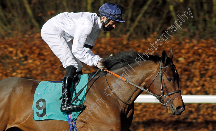 Year-Of-The-Dragon-0001 
 YEAR OF THE DRAGON (Callum Shepherd) winner of The Unibet Casino Deposit £10 Get £40 Bonus Novice Stakes Div1
Kempton 13 Jan 2021 - Pic Steven Cargill / Racingfotos.com