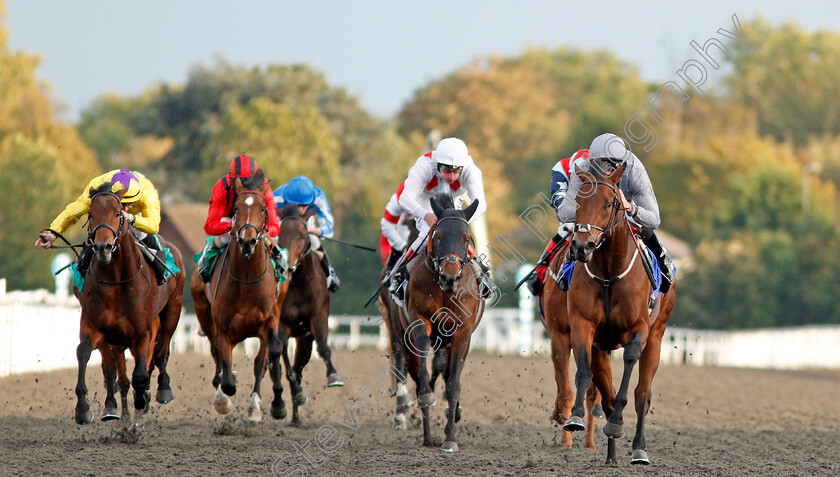 Higher-Kingdom-0002 
 HIGHER KINGDOM (Daniel Tudhope) wins The Close Brothers British Stallion Studs EBF Novice Stakes 
Kempton 9 Oct 2019 - Pic Steven Cargill / Racingfotos.com