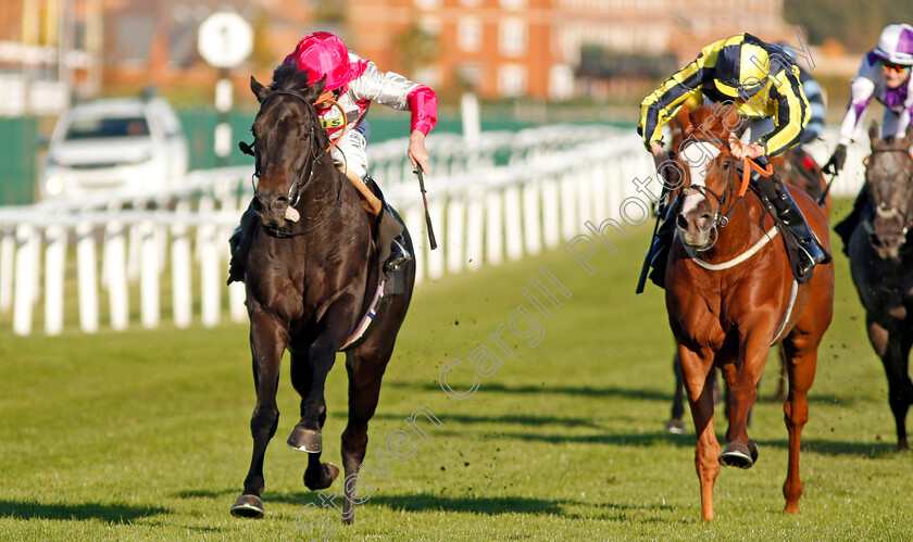 Entrusting-0002 
 ENTRUSTING (left, Ryan Moore) beats POUR ME A DRINK (right) in The T T Tents Handicap
Newbury 20 Sep 2019 - Pic Steven Cargill / Racingfotos.com