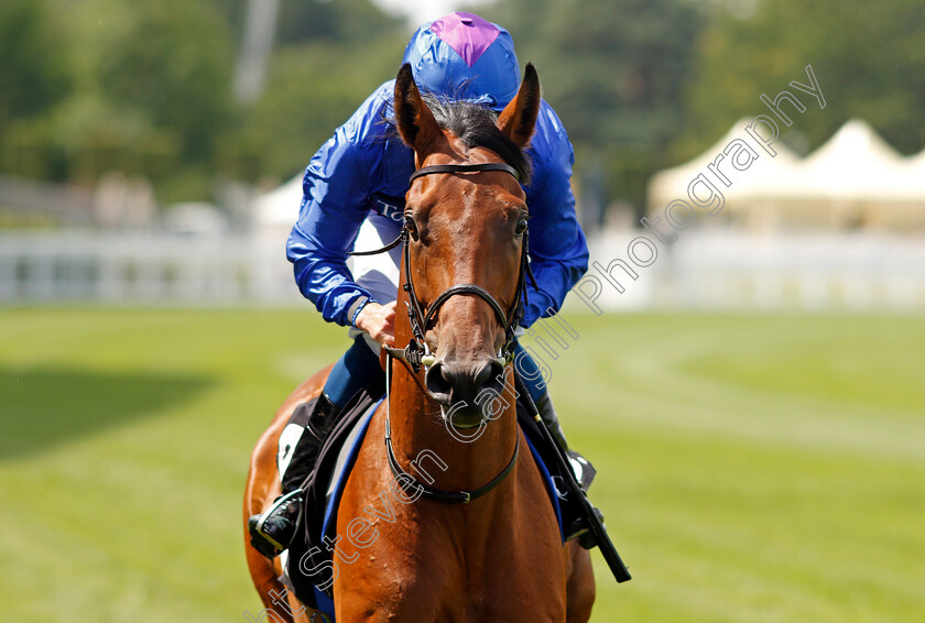 Goldsmith-0001 
 GOLDSMITH (William Buick)
Ascot 23 Jul 2021 - Pic Steven Cargill / Racingfotos.com