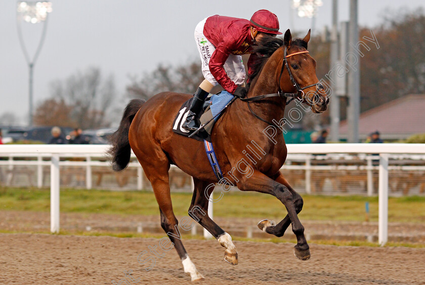 Pharoah-King-0001 
 PHAROAH KING (Kieran O'Neill)
Chelmsford 25 Nov 2019 - Pic Steven Cargill / Racingfotos.com