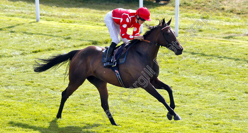 Curious-Fox-0004 
 CURIOUS FOX (David Probert) wins The Barrier Trials At Lingfield Park Fillies Handicap
Lingfield 25 Jul 2018 - Pic Steven Cargill / Racingfotos.com