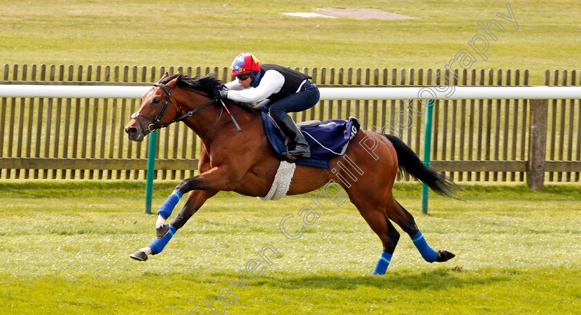 Cracksman-0001 
 CRACKSMAN (Frankie Dettori) galloping at Newmarket 17 Apr 2018 - Pic Steven Cargill / Racingfotos.com