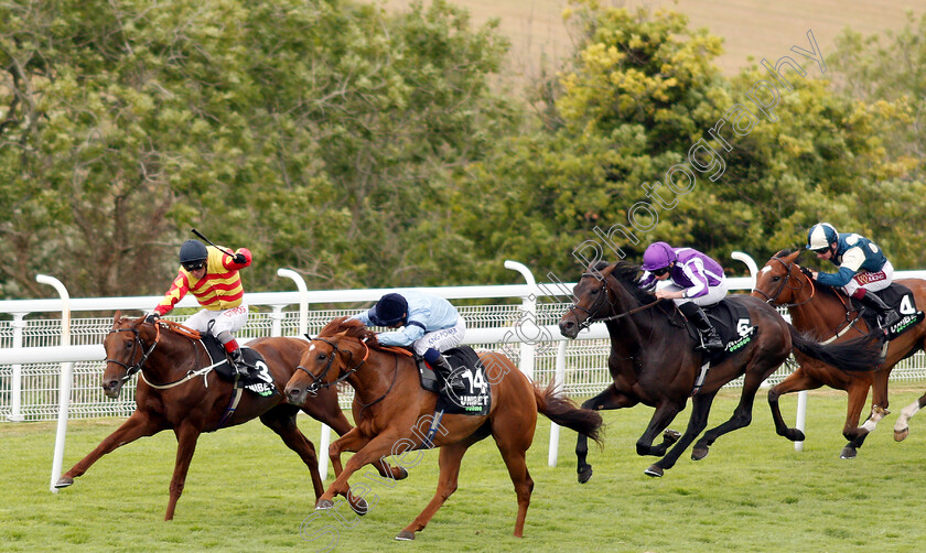 Sir-Ron-Priestley-0001 
 SIR RON PRIESTLEY (farside, Franny Norton) beats DURSTON (nearside) in The Unibet Handicap
Goodwood 31 Jul 2019 - Pic Steven Cargill / Racingfotos.com