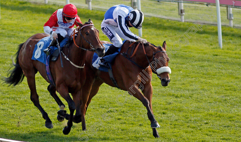 Raymond-0003 
 RAYMOND (right, Billy Garritty) beats SASHENKA (left, Hollie Doyle) in The Autohorn Handicap
York 13 May 2021 - Pic Steven Cargill / Racingfotos.com