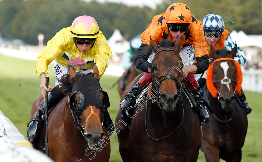 Dirty-Rascal-0003 
 DIRTY RASCAL (left, Tom Marquand) beats SALUTE THE SOLDIER (centre) in The New & Lingwood Handicap
Goodwood 31 Jul 2019 - Pic Steven Cargill / Racingfotos.com