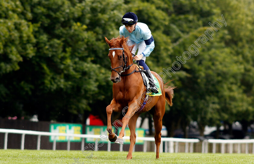 Bountiful-0001 
 BOUNTIFUL (Billy Loughnane)
Newmarket 12 Jul 2024 - Pic Steven Cargill / Racingfotos.com