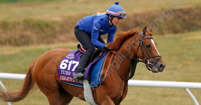 Creative-Force-0005 
 CREATIVE FORCE training for the Breeders' Cup Turf Sprint
Keeneland USA 1 Nov 2022 - Pic Steven Cargill / Racingfotos.com