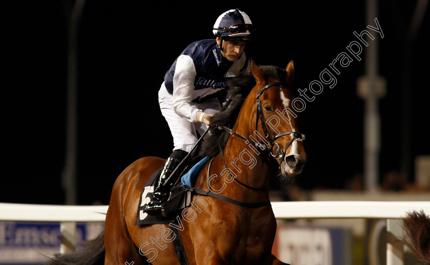 Hasanoanda-0001 
 HASANOANDA (Nicky Mackay) Chelmsford 23 Nov 2017 - Pic Steven Cargill / Racingfotos.com