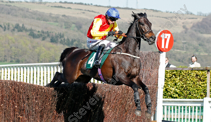 Sister-Sibyl-0002 
 SISTER SIBYL (Tom O'Brien) wins The TBA Mares Handicap Chase Cheltenham 19 Apr 2018 - Pic Steven Cargill / Racingfotos.com