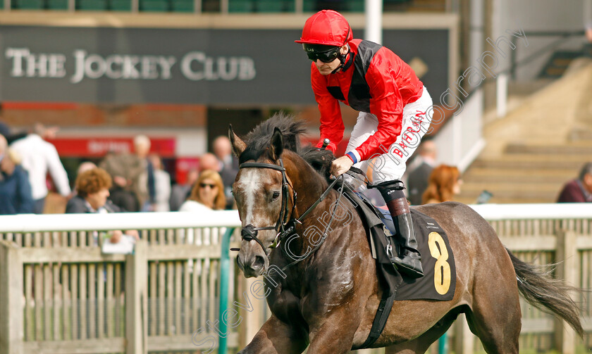 Dr-Hackenbush-0002 
 DR HACKENBUSH (Robert Havlin)
Newmarket 28 Sep 2023 - Pic Steven Cargill / Racingfotos.com