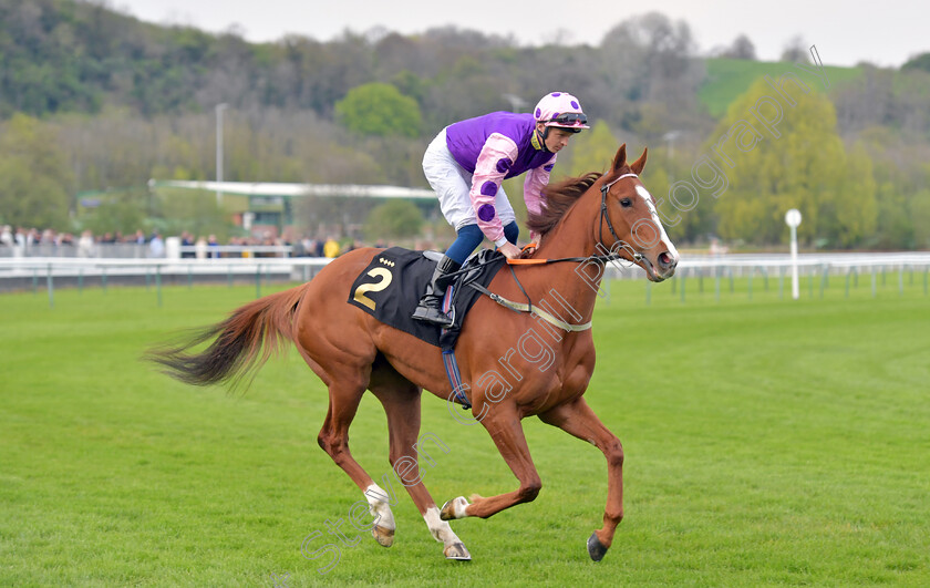 Hot-Chesnut-0001 
 HOT CHESNUT (David Probert)
Nottingham 22 Apr 2023 - Pic Steven Cargill / Becky Bailey / Racingfotos.com