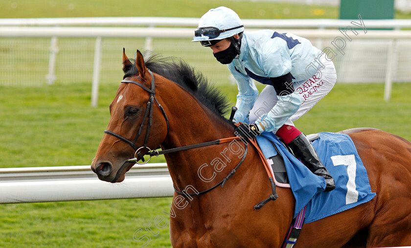 Starman-0001 
 STARMAN (Oisin Murphy) winner of The Duke Of York Clipper Logistics Stakes
York 12 May 2021 - Pic Steven Cargill / Racingfotos.com