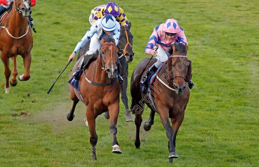 Han-Solo-Berger-0007 
 HAN SOLO BERGER (right, Tom Queally) beats EXCELLENT GEORGE (left) in The Injured Jockeys Fund Handicap
Yarmouth 17 Sep 2019 - Pic Steven Cargill / Racingfotos.com