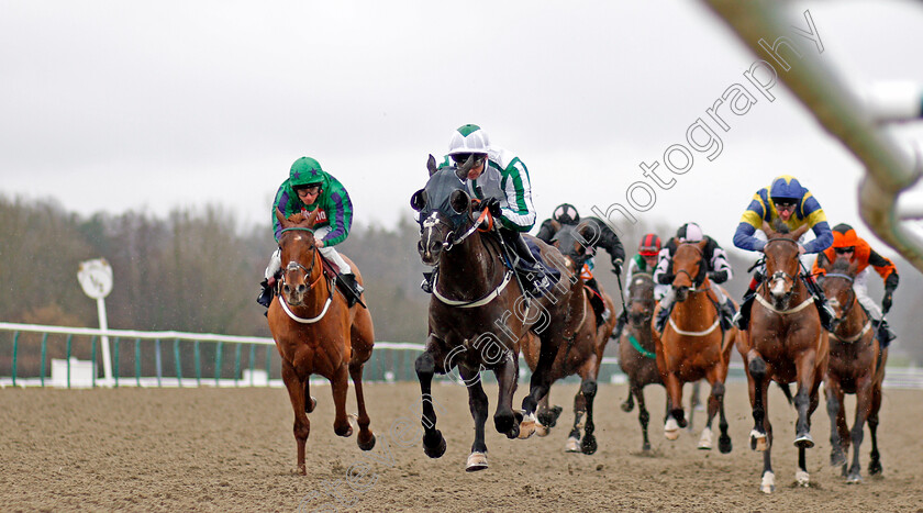 Author s-Dream-0001 
 AUTHOR'S DREAM (Martin Harley) wins The Betway Casino Handicap Lingfield 3 Feb 2018 - Pic Steven Cargill / Racingfotos.com