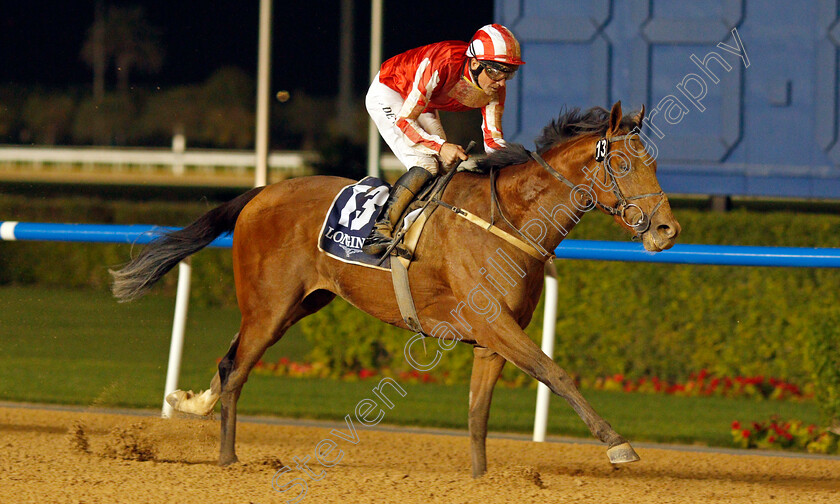 Withering-0007 
 WITHERING (Adrie de Vries) wins The Al Bastakiya Trial
Meydan, 4 Feb 2022 - Pic Steven Cargill / Racingfotos.com