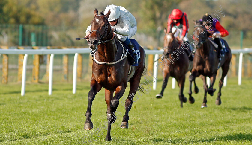 Forest-Falcon-0005 
 FOREST FALCON (William Buick) wins The British Stallion Studs EBF Novice Stakes
Yarmouth 17 Sep 2020 - Pic Steven Cargill / Racingfotos.com